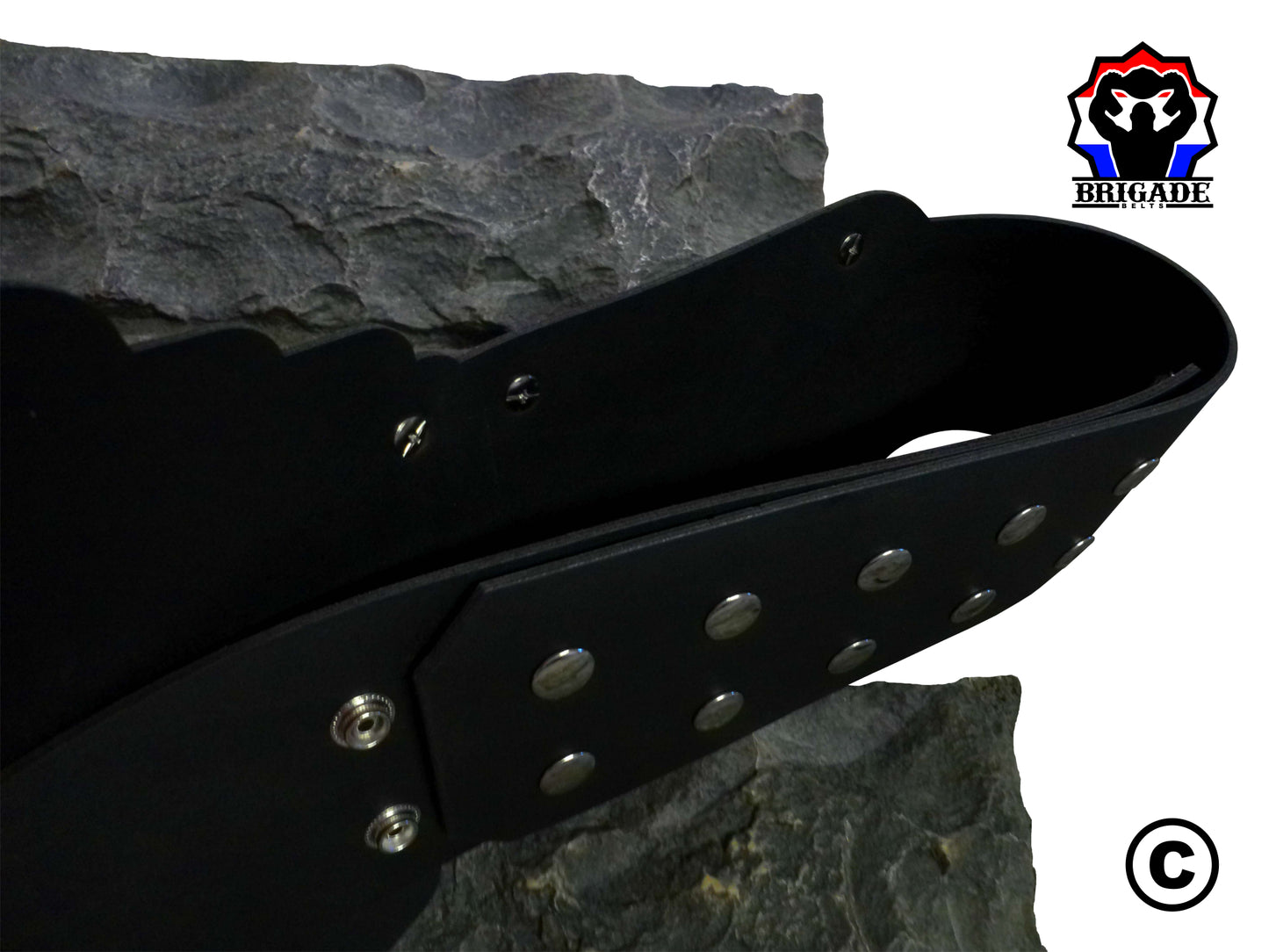 Back side of Title Belt