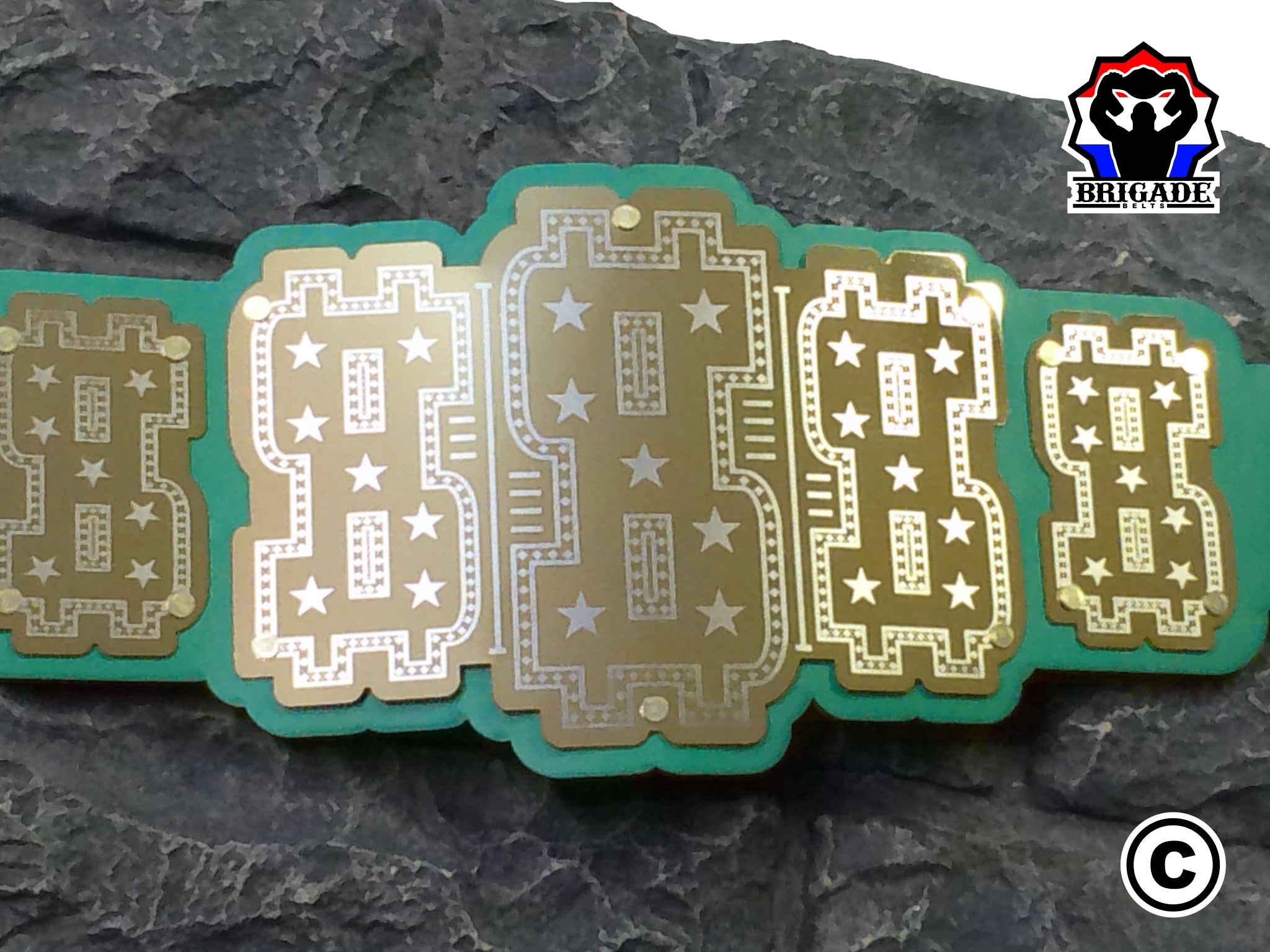 Dollar Sign Belt