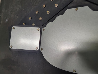 Commander Model Economy Series Blank Championship Belt